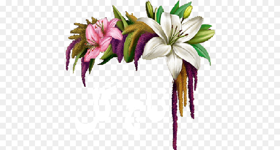 Flower Crown For Android Download Cafe Bazaar Lily Flower Crown, Plant, Anther, Text Free Png