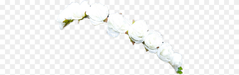Flower Crown New 206 Crowns Tumblr White Flowers Crown, Rose, Plant, Geranium, Petal Free Png Download