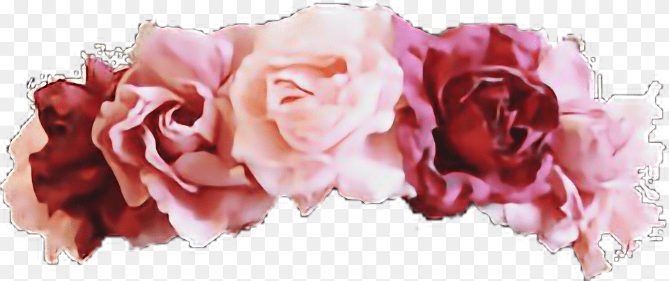 Flower Crown Overlays Picsart Poop Emoji With Flower Crown, Carnation, Petal, Plant, Rose Png Image