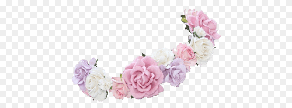 Flower Crown Snapchat Filter, Flower Arrangement, Plant, Rose, Accessories Free Png