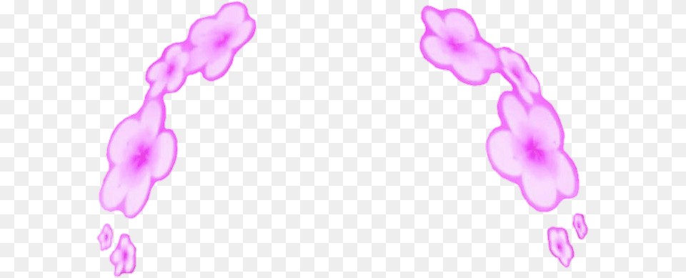 Flower Crown Snapchat Filter Transpa, Petal, Plant, Purple, Accessories Free Png Download