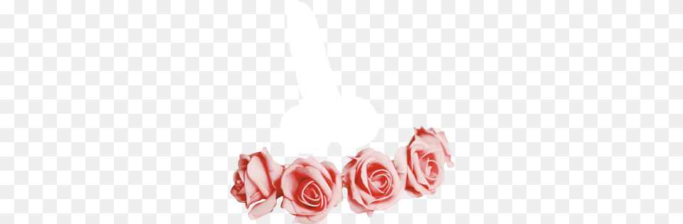 Flower Crown So You Can Drag Red Flower Crown Sticker, Petal, Plant, Rose, Baby Png Image