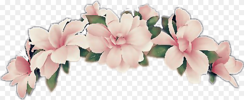 Flower Crown Transpa Clipart Ya Webdesign Flower Crown Clip Art, Petal, Plant, Accessories, Flower Arrangement Png
