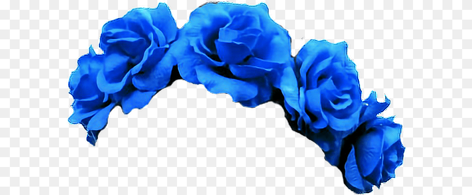 Flower Crown Transparent Clipart Blue Flower Crown Transparent, Plant, Accessories, Rose, Flower Arrangement Free Png
