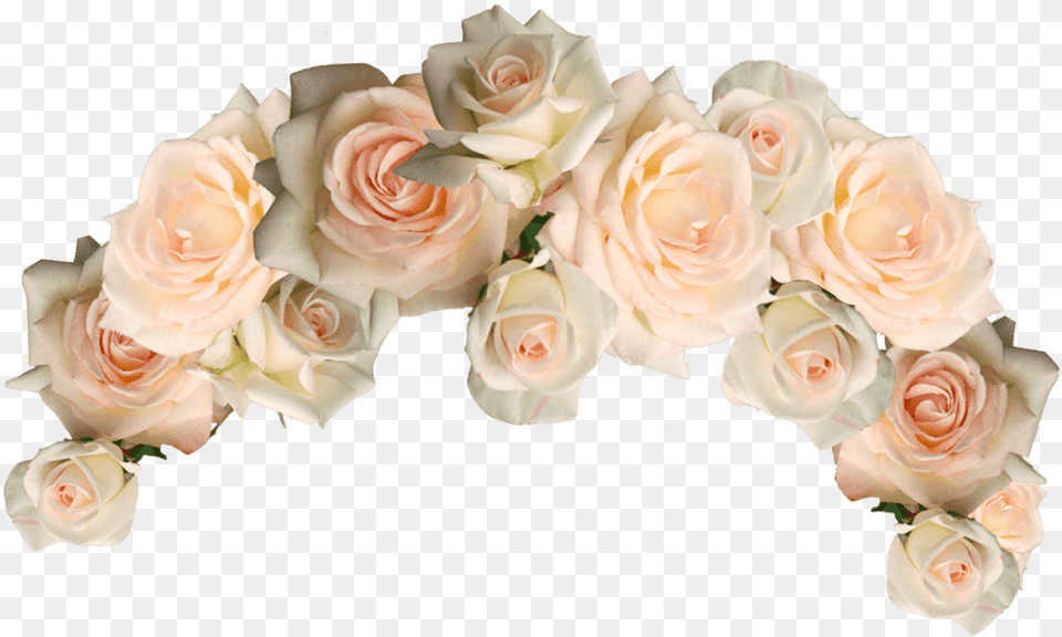 Flower Crown Transparent Flower Crown White Pink Flower Crown, Flower Arrangement, Flower Bouquet, Plant, Rose Free Png