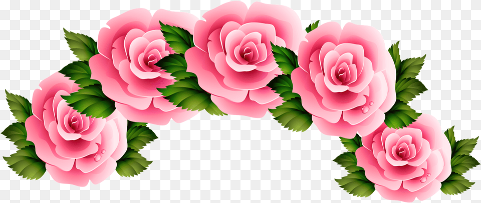 Flower Crown Tumblr Crown Rosecrown Flowercrown Transparent Aesthetic Flower Crown, Plant, Rose, Flower Arrangement Png