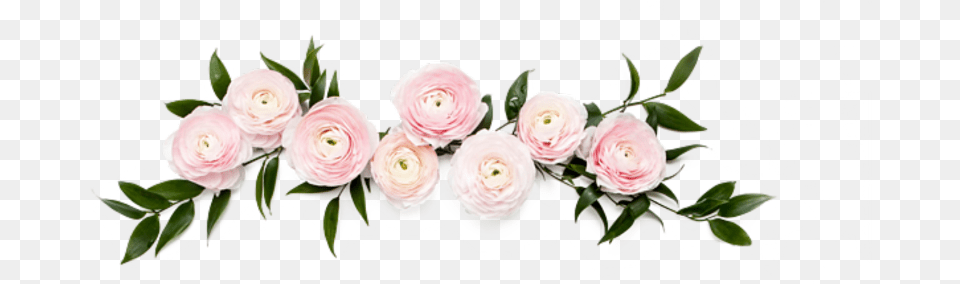Flower Crown Tumblr Rose Leaf Leafs Flower Dusty Pink Flowers, Plant, Flower Arrangement, Flower Bouquet, Graphics Free Transparent Png