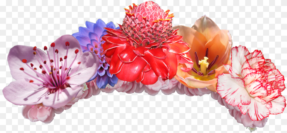 Flower Crowns Image Flower Emojis Background, Flower Arrangement, Petal, Plant, Anther Free Transparent Png