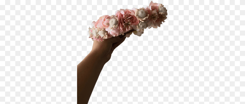 Flower Crowns U2014 Get Crowned Crown, Body Part, Rose, Plant, Person Png Image