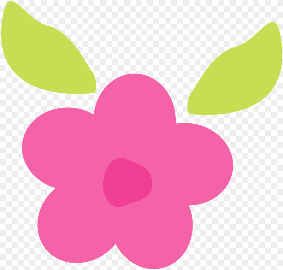 Flower Cute Pink Gree Flower Cute, Anemone, Petal, Plant, Astronomy Png Image