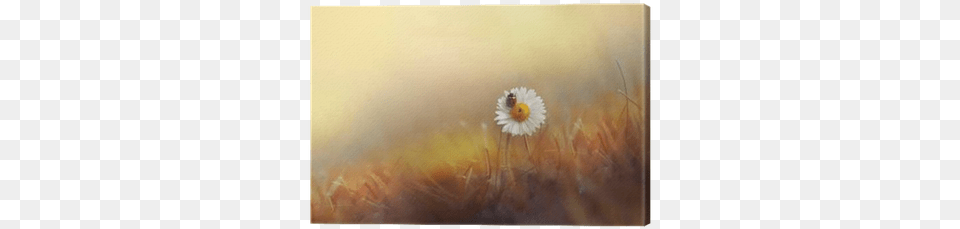 Flower Daisies Chamomile With Ladybug In The Grass Wandtattoo Buddha Klebefieber Gre 50 Cm H X 40 Cm, Daisy, Plant Free Png Download