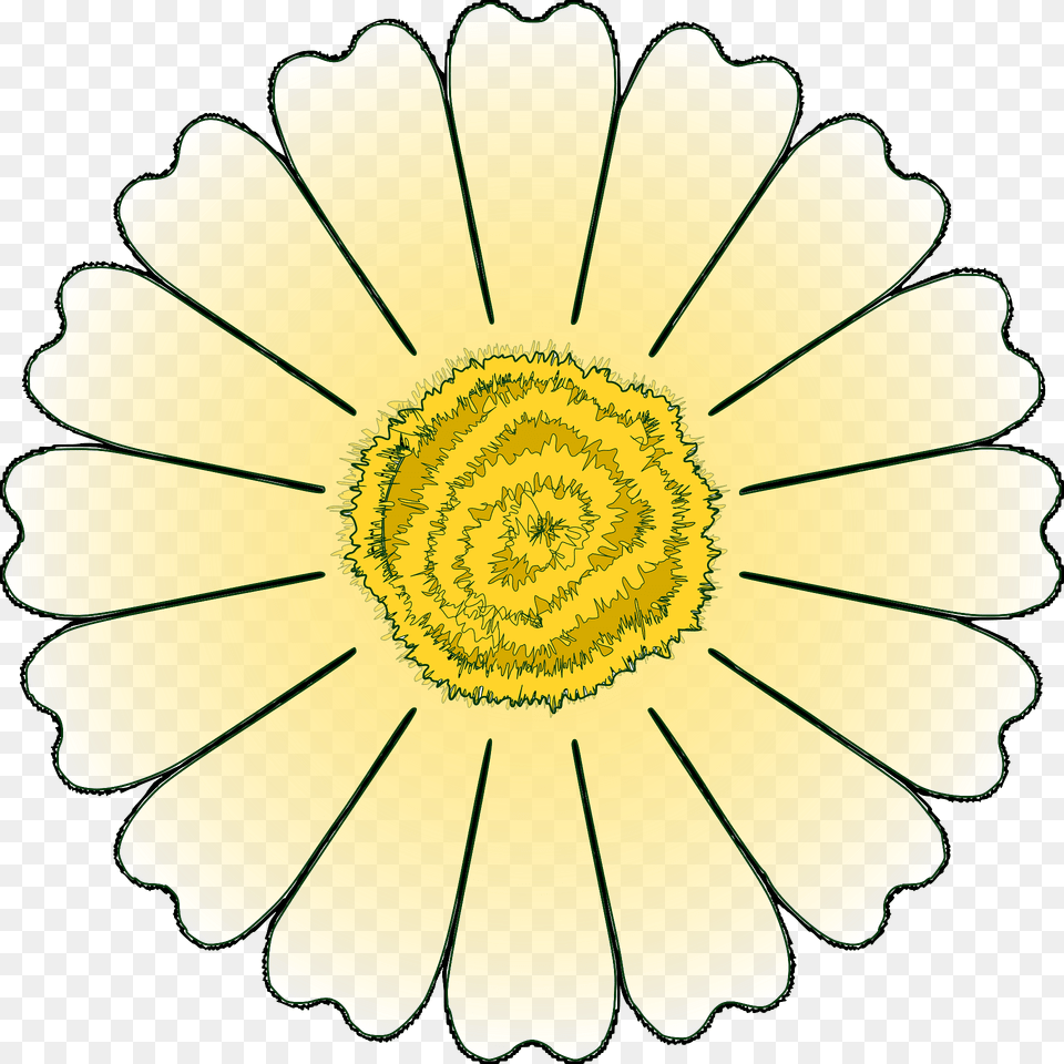 Flower Daisy Clipart, Anther, Petal, Plant, Chandelier Free Png Download