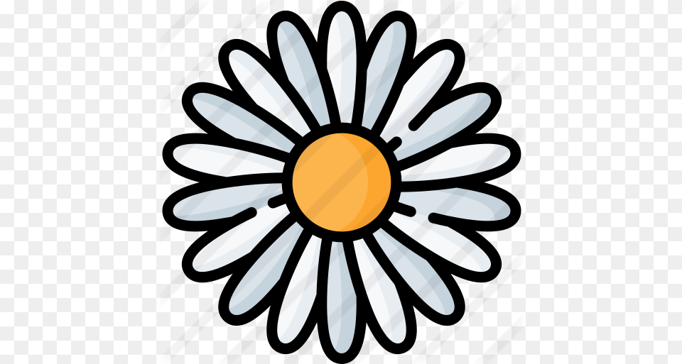 Flower Daisy Outline, Plant Free Png Download