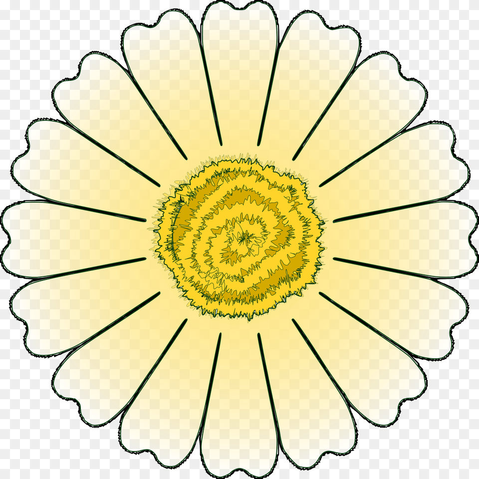 Flower Daisy Petal Icons, Plant, Anther, Chandelier, Lamp Png Image