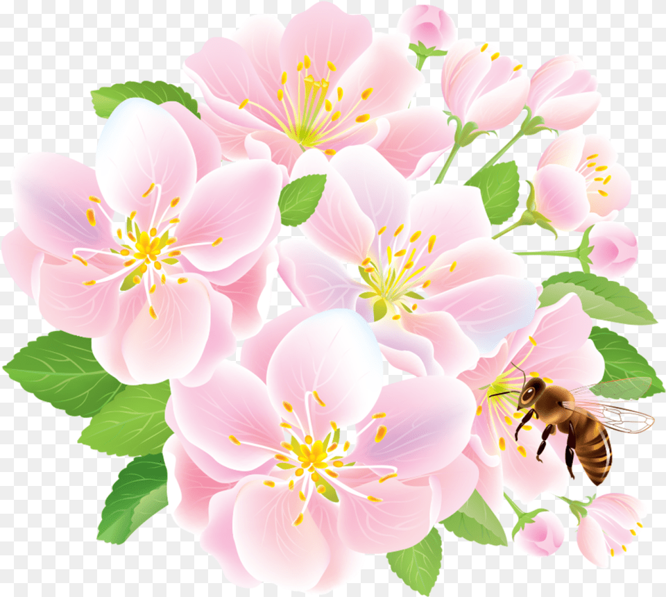 Flower Delivery Floristry Studio Ghibli Lily, Honey Bee, Animal, Bee, Invertebrate Free Png Download