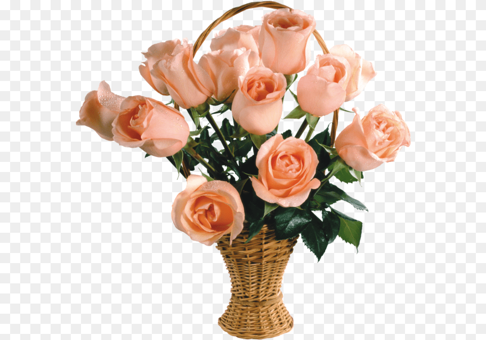 Flower Delivery Gif, Flower Arrangement, Flower Bouquet, Plant, Rose Free Png