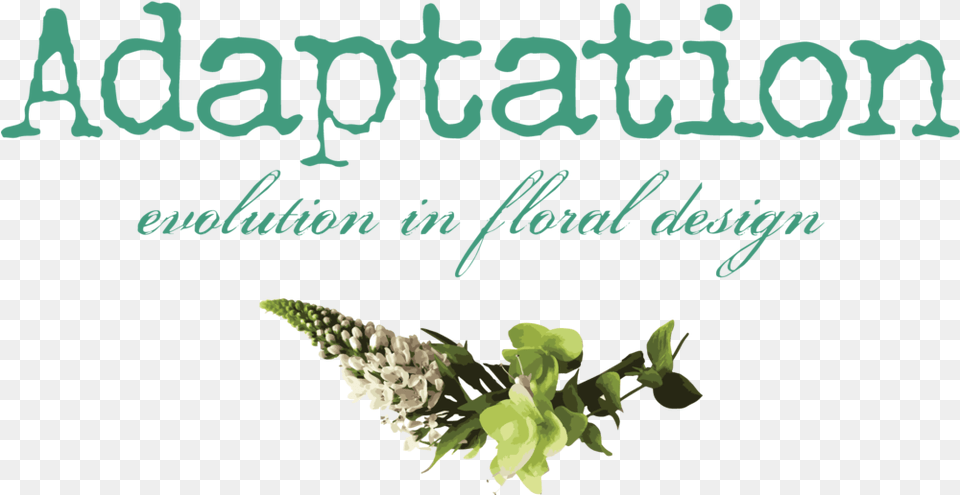 Flower Design, Green, Herbal, Herbs, Leaf Png Image