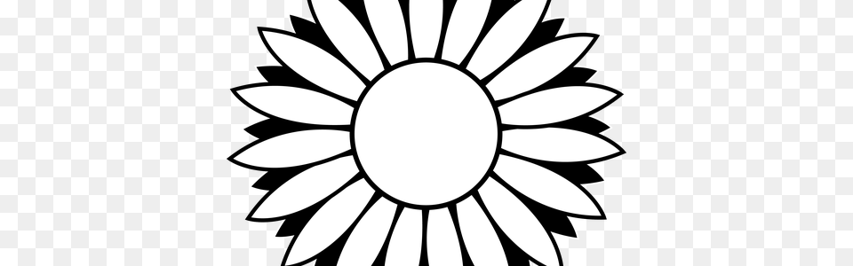 Flower Design Drawing Outline Flower Clipart Black And White, Daisy, Plant Png