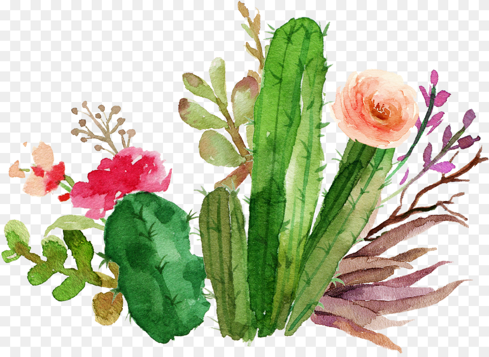 Flower Design Flower Cactus Watercolor, Plant, Rose, Flower Arrangement Free Transparent Png