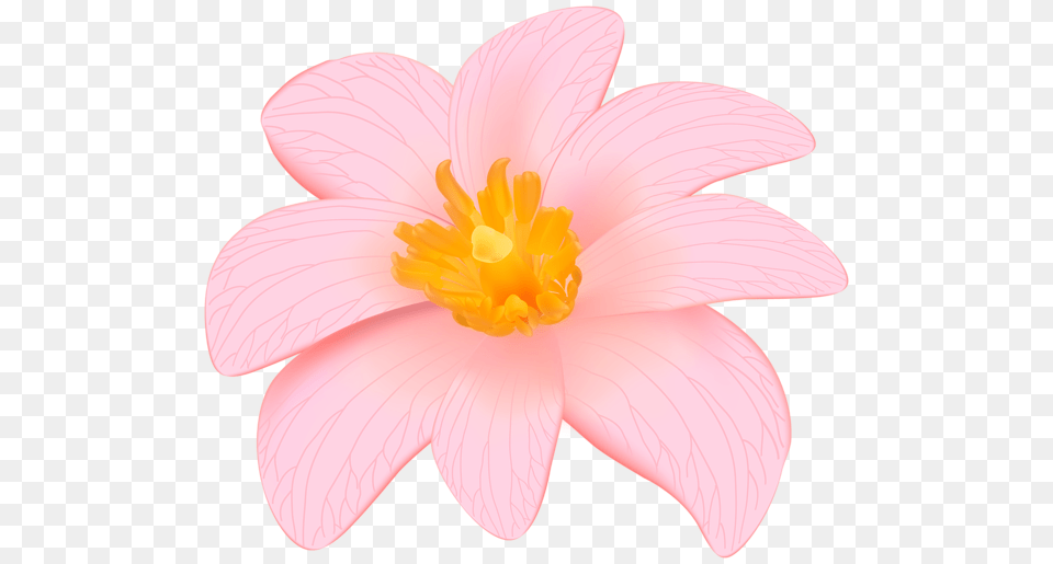 Flower Designes Flower Clipart, Pollen, Anther, Plant, Petal Free Png