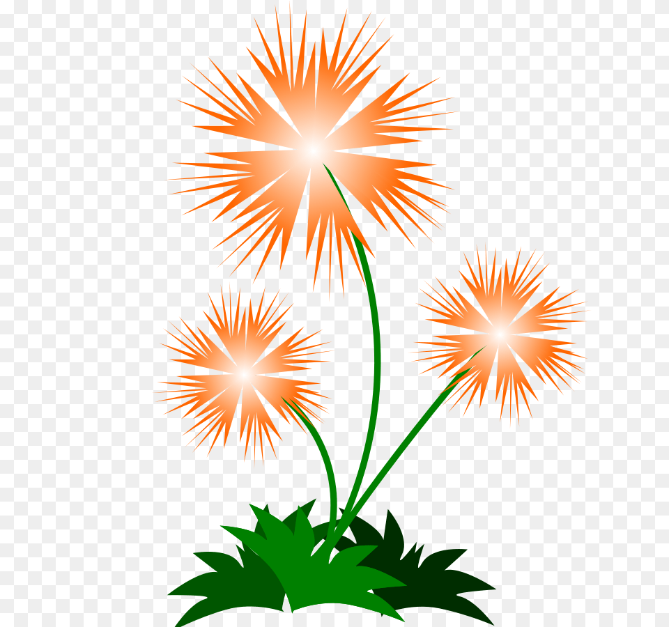 Flower Designs Clip Art, Fireworks, Plant, Person Free Png