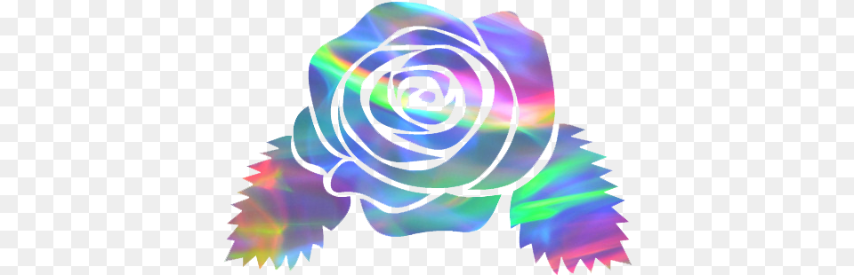 Flower Discovered By Lana Rose On We Heart It Banner Flower Aesthetic, Plant, Spiral, Dye, Art Png Image