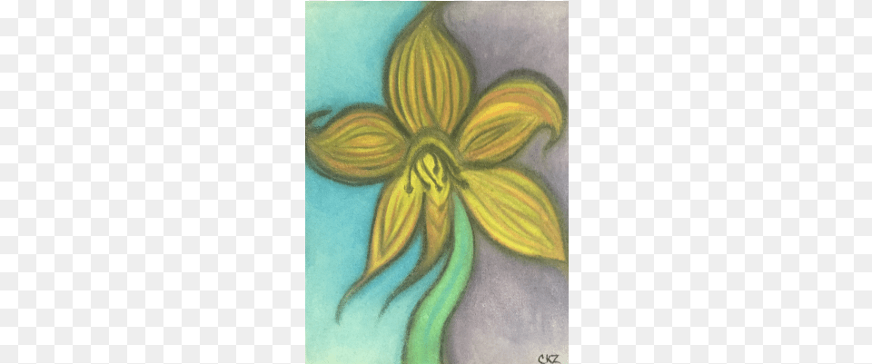 Flower Done In Chalk Art, Painting, Graphics, Floral Design, Pattern Png