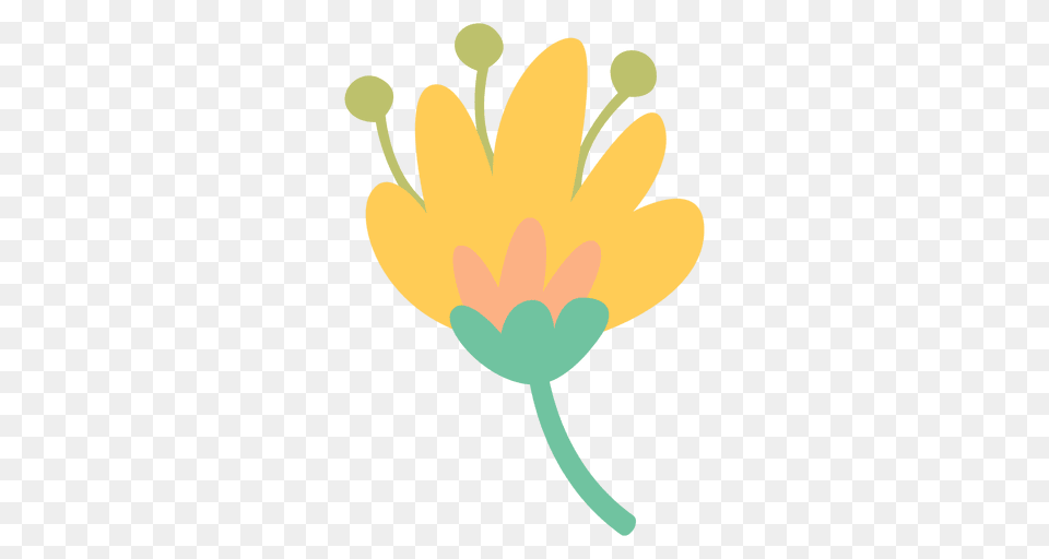 Flower Doodle Icon, Anther, Daisy, Petal, Plant Png