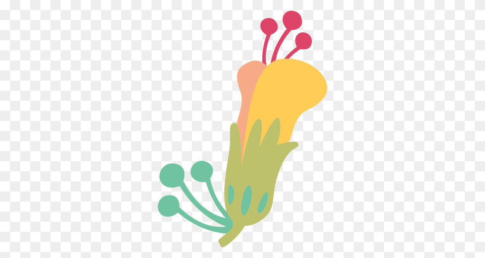 Flower Doodle Illustration, Anther, Plant, Hibiscus Png