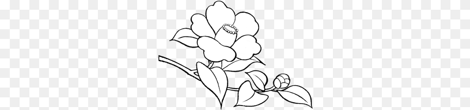 Flower Doodle Pack Album On Imgur White Flower Doodle, Art, Plant, Anemone, Appliance Png Image