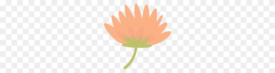 Flower Doodle Transparent Or To Download, Daisy, Petal, Plant, Dahlia Png