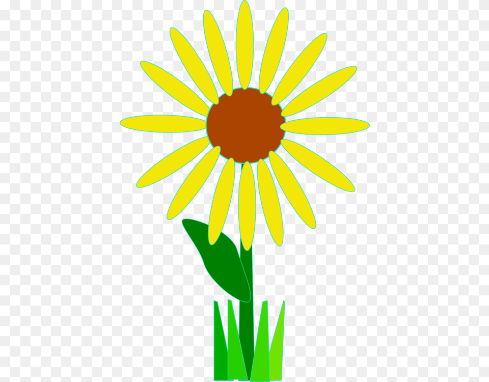 Flower Art Common Daisy, Plant, Petal Free Png Download