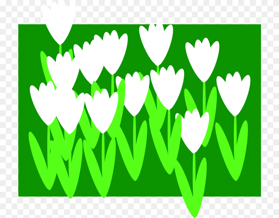 Flower Download Drawing Symbol, Green, Art, Graphics, Plant Png Image