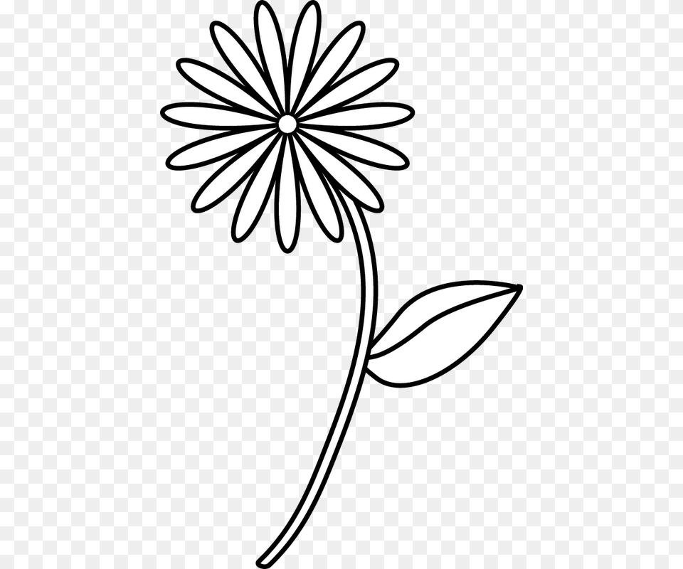 Flower Drawing At Getdrawings Simple Easy Flower Drawings, Plant, Daisy, Pattern, Graphics Png