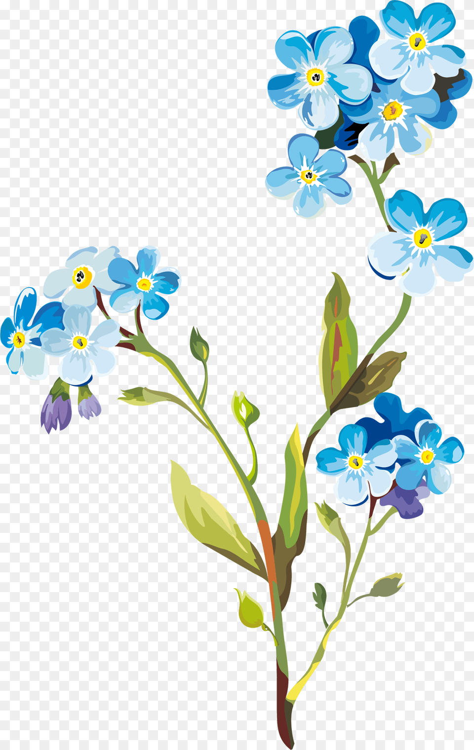 Flower Drawing Clip Art, Floral Design, Graphics, Pattern, Painting Free Transparent Png