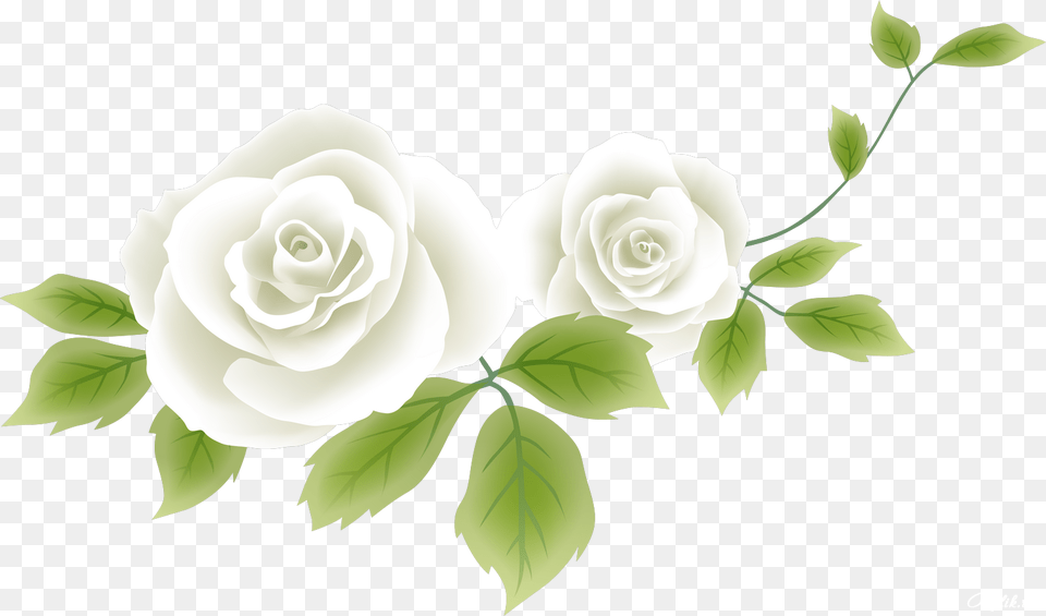 Flower Drawing Clip Art Risunok Rozi Bez Fona, Plant, Rose, Graphics, Floral Design Free Transparent Png