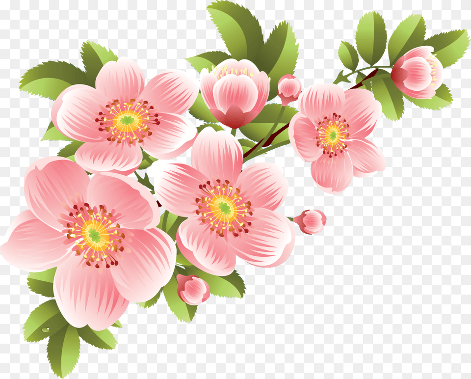 Flower Drawing Color, Anemone, Art, Floral Design, Graphics Free Transparent Png