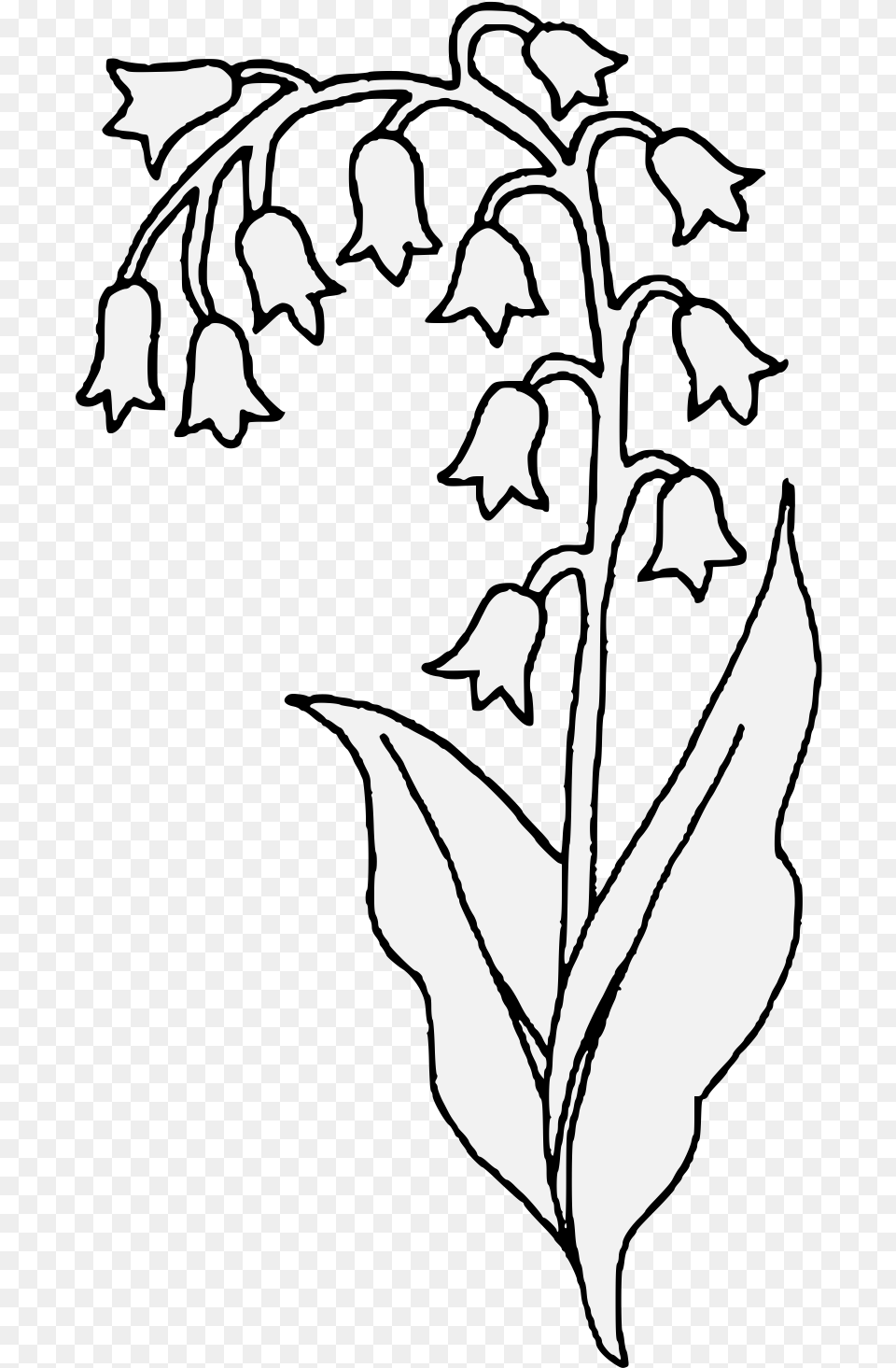 Flower Drawing Drawing Clipart Lily Of The Valley, Leaf, Plant, Stencil, Person Free Transparent Png