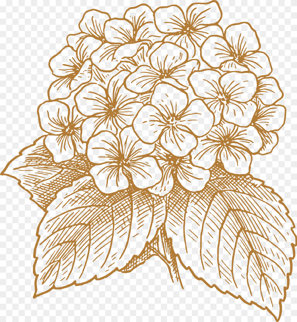 Flower Drawing French Hydrangea Flower Drawing Clip Hydrangea Clip Art, Floral Design, Graphics, Pattern, Embroidery Free Png Download