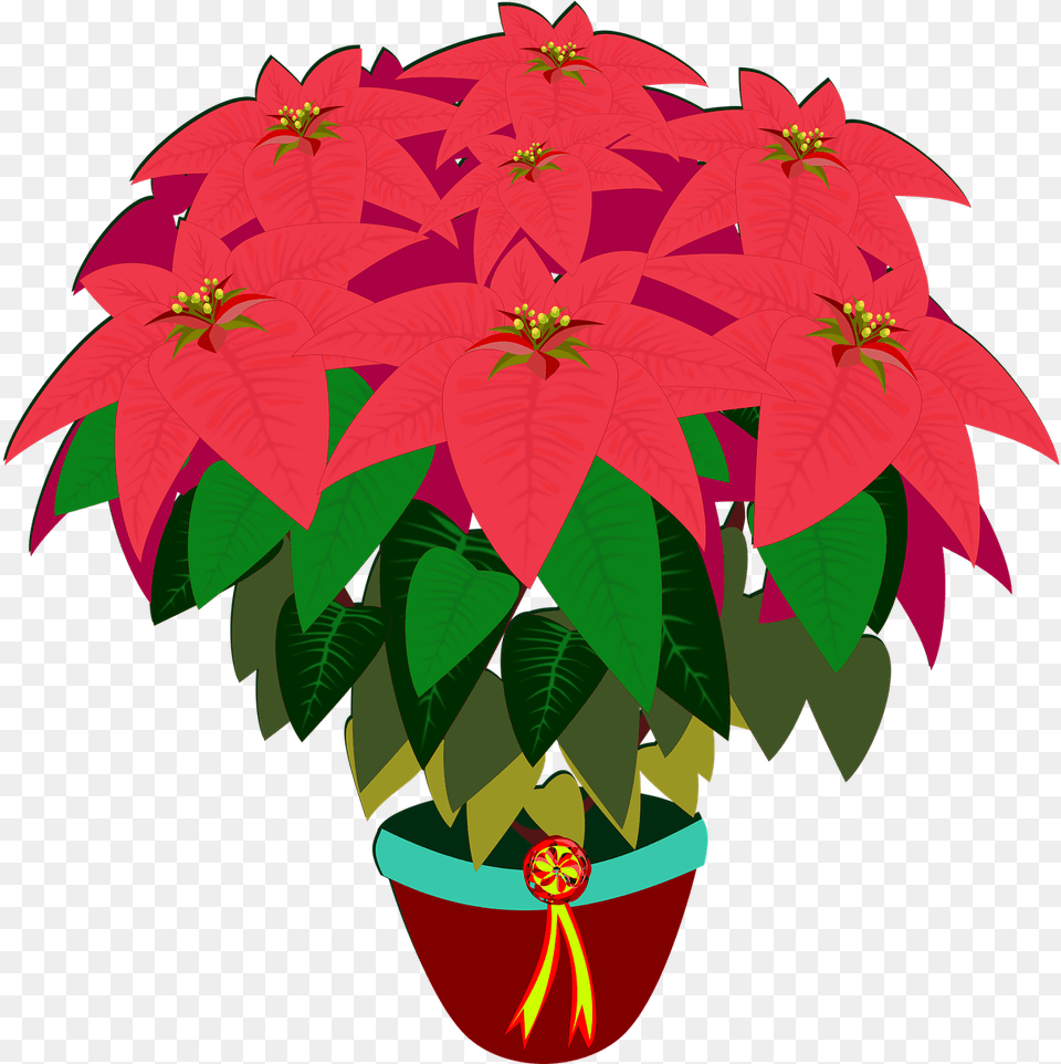 Flower Drawing Poinsettia Digital Image, Plant, Potted Plant, Leaf, Pottery Png