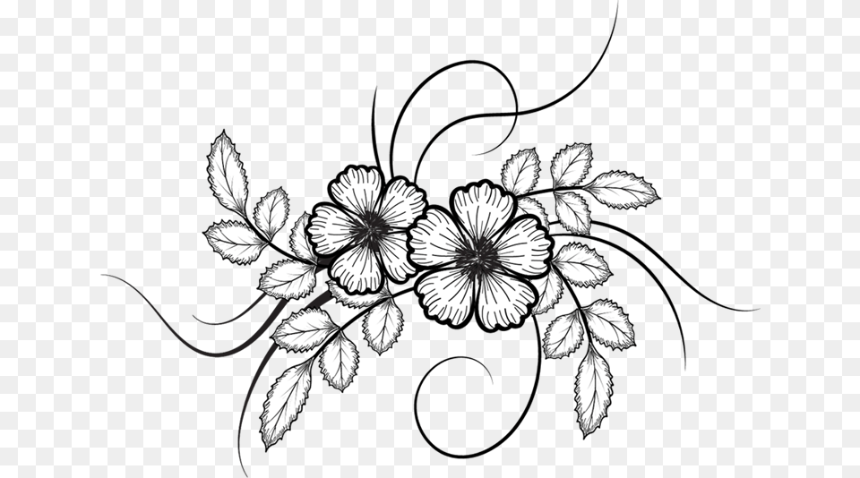 Flower Drawing Vector At Getdrawings White Flower Drawing, Art, Floral Design, Graphics, Pattern Png