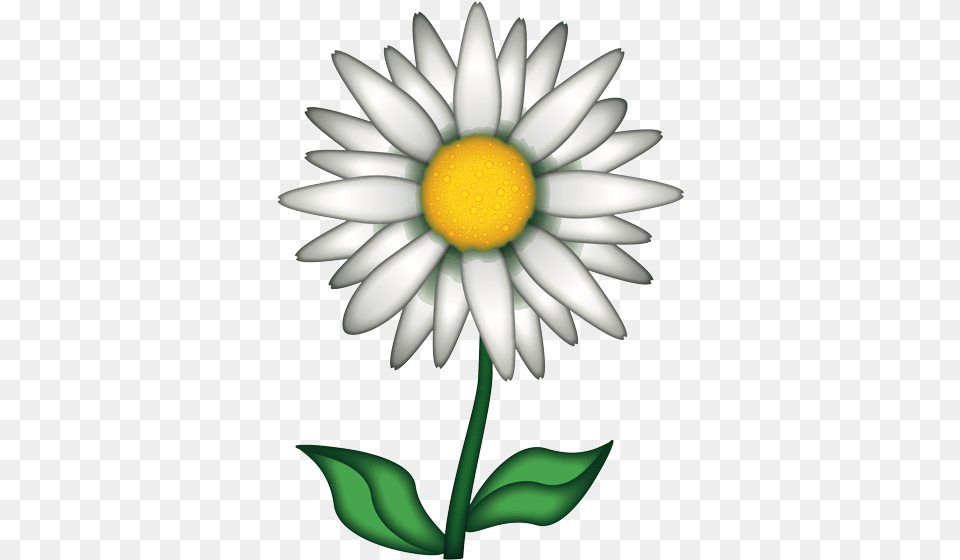 Flower Emoji Chamomile Emoji, Daisy, Plant, Chandelier, Lamp Free Png