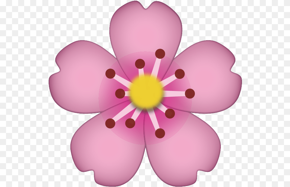 Flower Emoji Cherry Blossom Emoji, Anemone, Anther, Petal, Plant Png