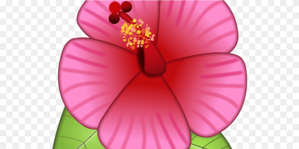 Flower Emoji Iphone, Plant, Hibiscus, Petal, Pollen Free Transparent Png