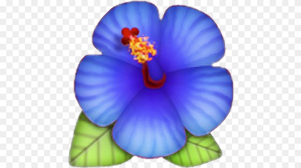 Flower Emoji Lotus Blue Rose Morelife Hibiscus Emoji Hibiscus, Anther, Petal, Plant, Anemone Free Png