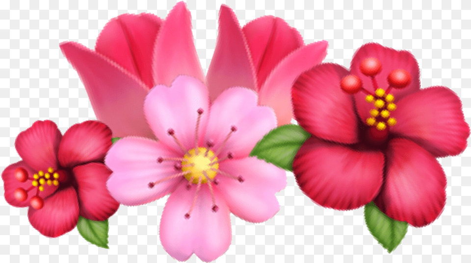Flower Emoji Sakura Tulip Crown Flowercrown Flower Crown Emoji, Anther, Petal, Plant, Geranium Free Transparent Png