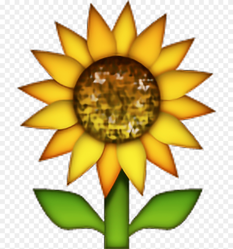 Flower Emoji Sunflower Emoji Flowers Freetoedit Sunflower Emoji Transparent Background, Plant, Rose Png Image