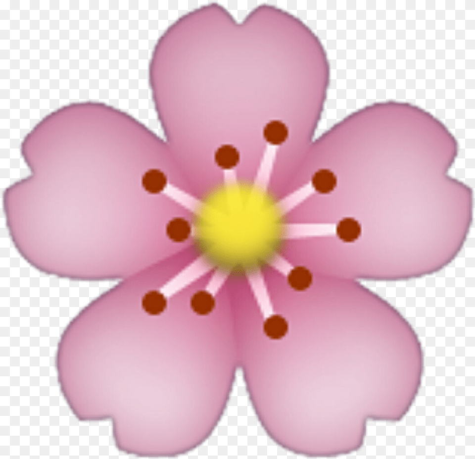 Flower Emoji Transparent Background, Anther, Plant, Petal, Cherry Blossom Png