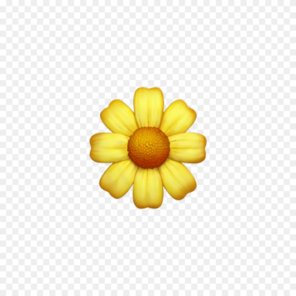 Flower Emoji Transparent Free For Iphone Yellow Flower Emoji, Daisy, Petal, Plant, Anemone Png