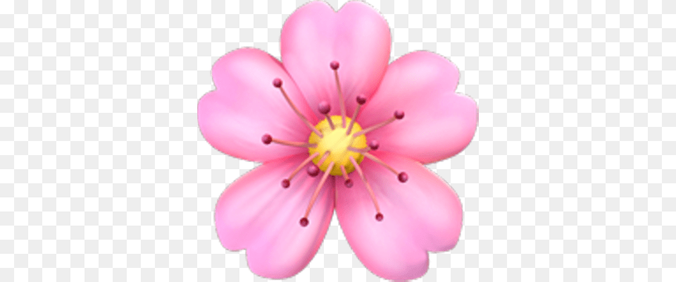 Flower Emoji Tumblr, Anther, Petal, Plant, Anemone Png